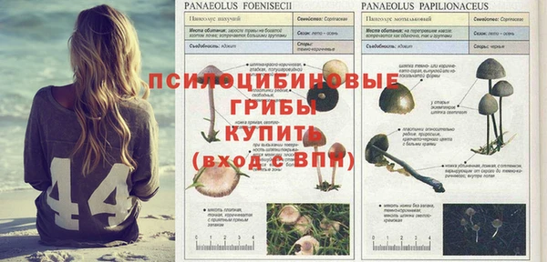 таблы Аркадак