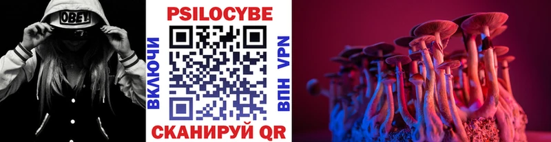 Галлюциногенные грибы Psilocybe  наркота  Саяногорск 